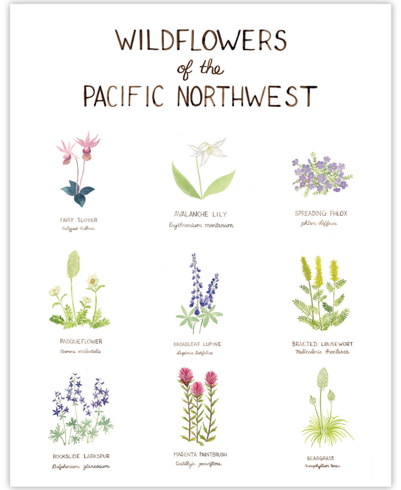 Pacific Northwest Wildflowers - 11” x 14” Floral Art Print