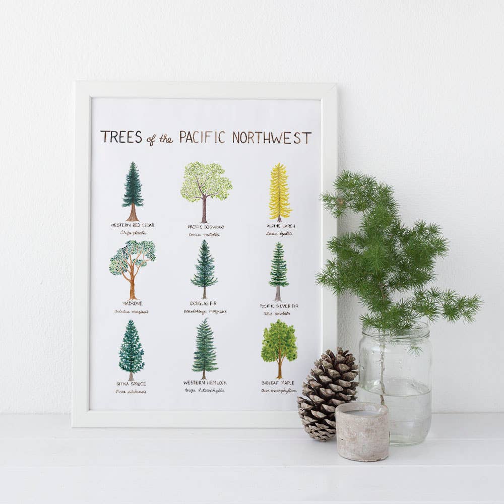 Pacific Northwest Trees - 11” x 14” Watercolor Art Print