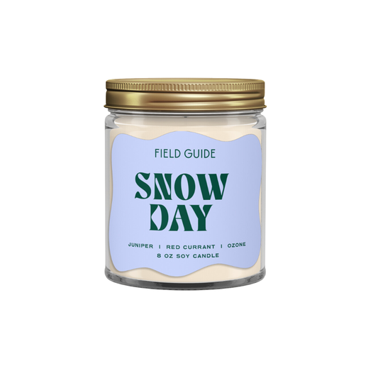 Snow Day Holiday Soy Candle