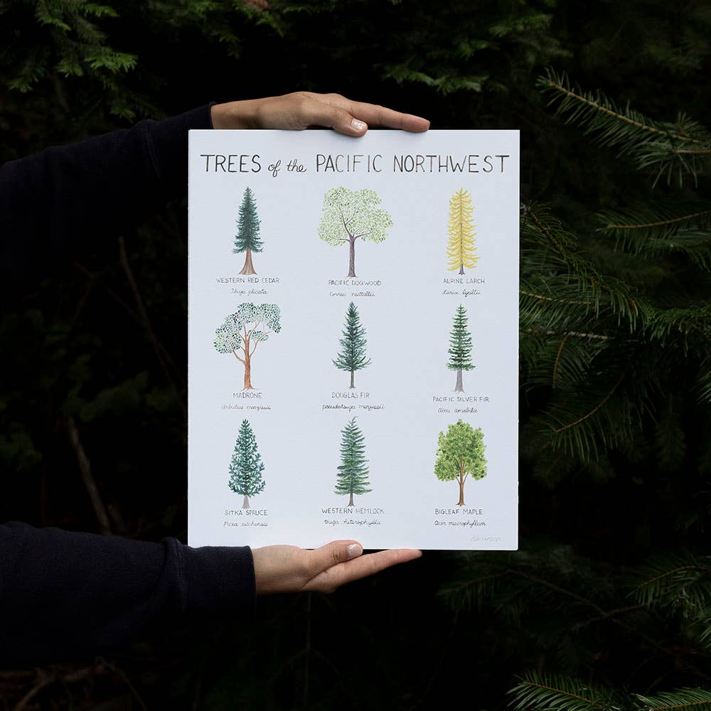 Pacific Northwest Trees - 11” x 14” Watercolor Art Print